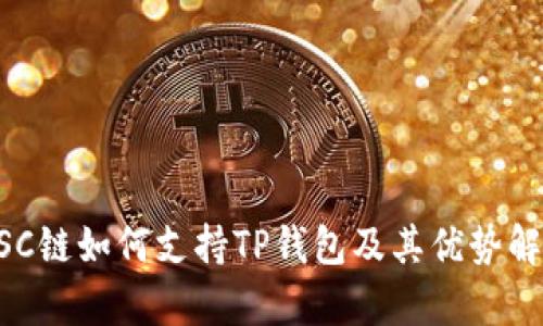 BSC链如何支持TP钱包及其优势解析
