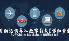 如何用助记词导入数字钱