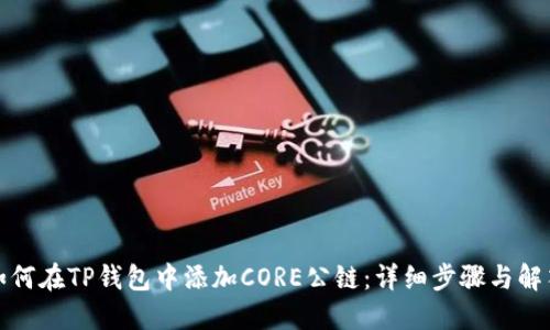 如何在TP钱包中添加CORE公链：详细步骤与解答