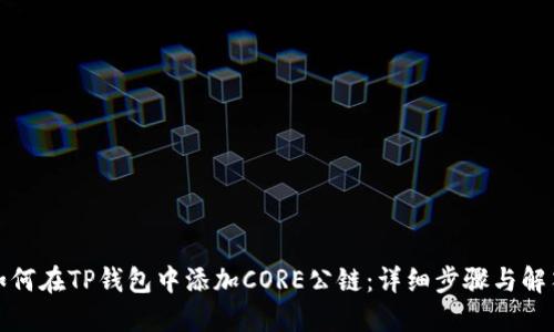 如何在TP钱包中添加CORE公链：详细步骤与解答