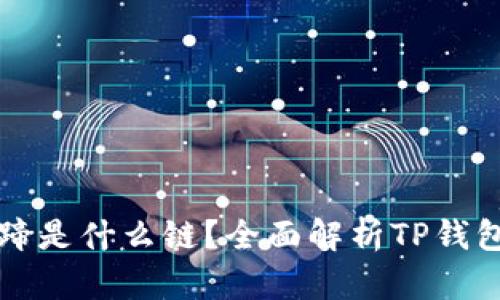 TP钱包马蹄是什么链？全面解析TP钱包及其功能