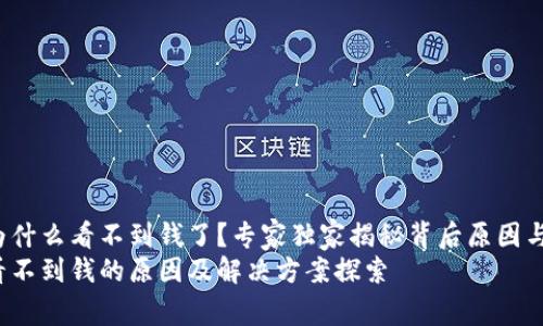 t p钱包为什么看不到钱了？专家独家揭秘背后原因与解决方案
t p钱包看不到钱的原因及解决方案探索