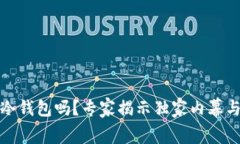 TP钱包是冷钱包吗？专家揭