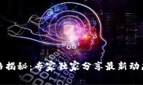 TP钱包币价格揭秘：专家独家分享最新动态和市场秘诀