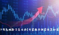 TP钱包删除了怎么办？专家