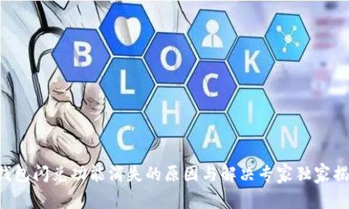 TP钱包闪兑功能消失的原因与解决专家独家揭秘!