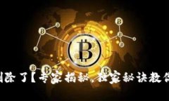 TP钱包被删除了？专家揭秘