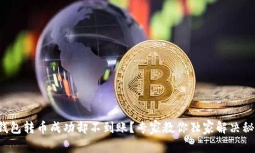TP钱包转币成功却不到账？专家教你独家解决秘诀！