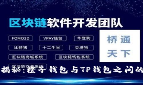 专家独家揭秘：橙子钱包与TP钱包之间的转账秘诀