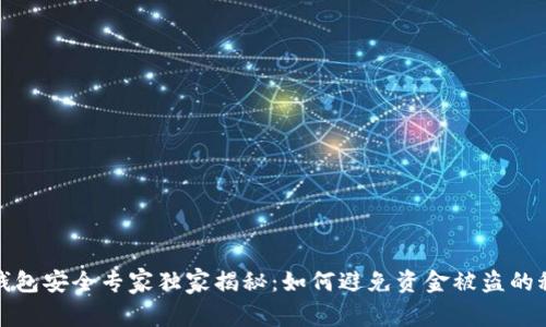 TP钱包安全专家独家揭秘：如何避免资金被盗的秘诀