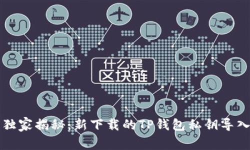 专家独家揭秘：新下载的TP钱包私钥导入秘诀