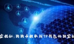 专家揭秘：狗狗币提取到