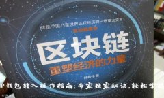 TP钱包转入操作指南：专家