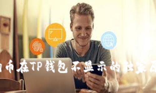 专家揭秘：狗狗币在TP钱包不显示的独家原因与解决秘诀