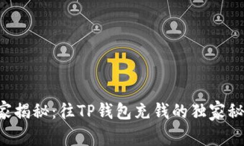 专家揭秘：往TP钱包充钱的独家秘诀！