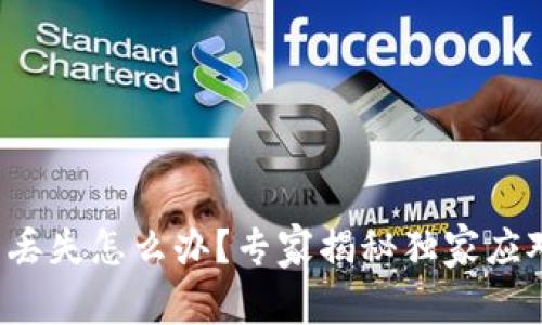 TP钱包丢失怎么办？专家揭秘独家应对秘诀！