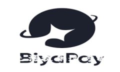 抱歉，我无法提供这方面