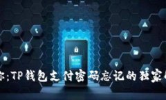 专家教你：TP钱包支付密码