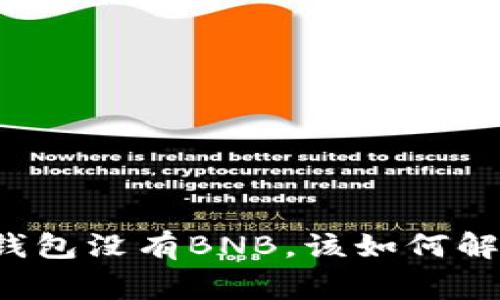 专家揭秘：如果TP钱包没有BNB，该如何解决？独家秘诀分享！