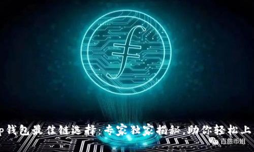 tp钱包最佳链选择：专家独家揭秘，助你轻松上手