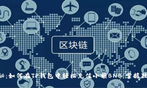 专家揭秘：如何在TP钱包中轻松充值小额BNB，掌握独家秘诀！
