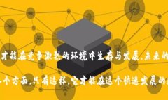 关于TP钱包在中国的未来发