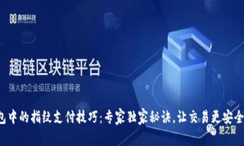 TP钱包中的指纹支付技巧：专家独家秘诀，让交易更安全便捷！
