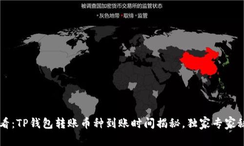 新手必看：TP钱包转账币种到账时间揭秘，独家专家秘诀分享