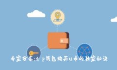 专家分享：t p钱包购买u币