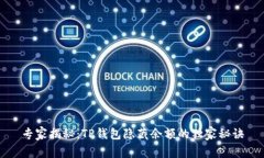 专家揭秘：TP钱包隐藏余额