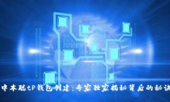 中本聪tP钱包创建：专家独