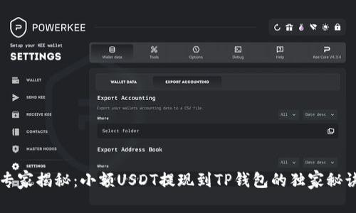 专家揭秘：小额USDT提现到TP钱包的独家秘诀