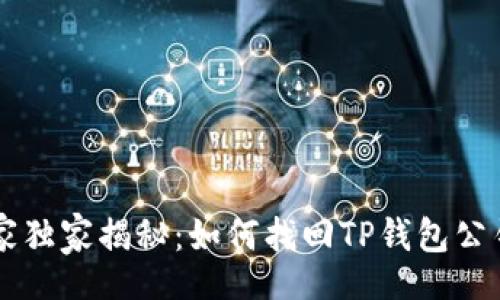 div
    专家独家揭秘：如何找回TP钱包公钥的秘诀