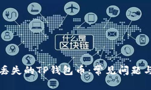 如何找回丢失的TP钱包币：常见问题与解决方法