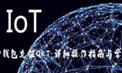如何通过TP钱包充值OKT：详