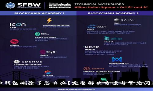 TP身份钱包删除了怎么办？完整解决方案与常见问题解析