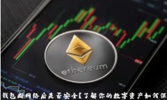 TP钱包断网络后是否安全？