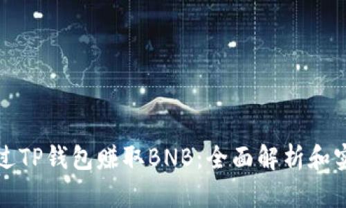 如何通过TP钱包赚取BNB：全面解析和实用指南