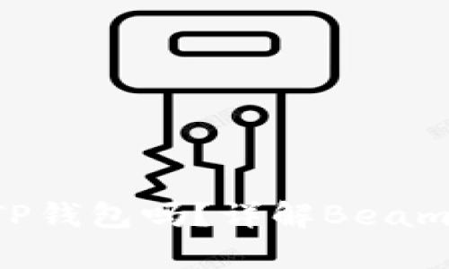 Beam币可以存储在TP钱包吗？详解Beam币与TP钱包的兼容性