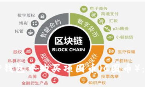如何在TP钱包中购买项圈币（C圈币）：完整指南