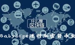如何使用Babydoge进行加密货